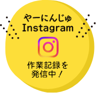 インスタグラムはこちら